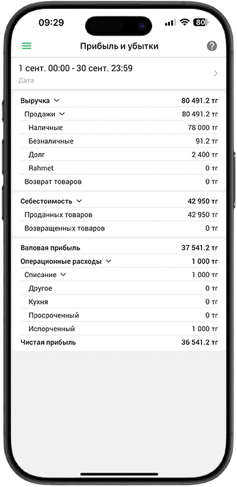 Отчет о чистой прибыли магазина в приложении директора